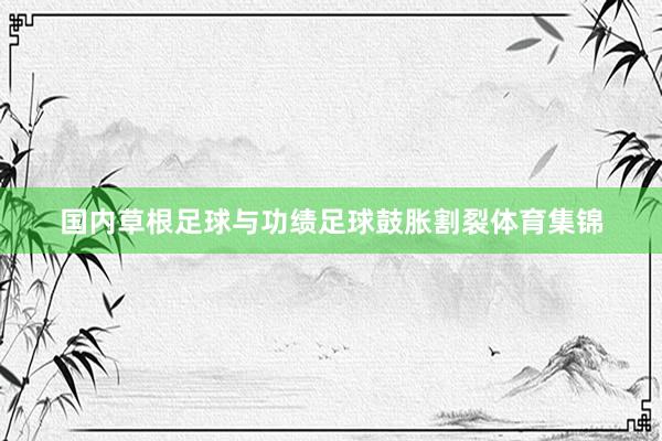 国内草根足球与功绩足球鼓胀割裂体育集锦