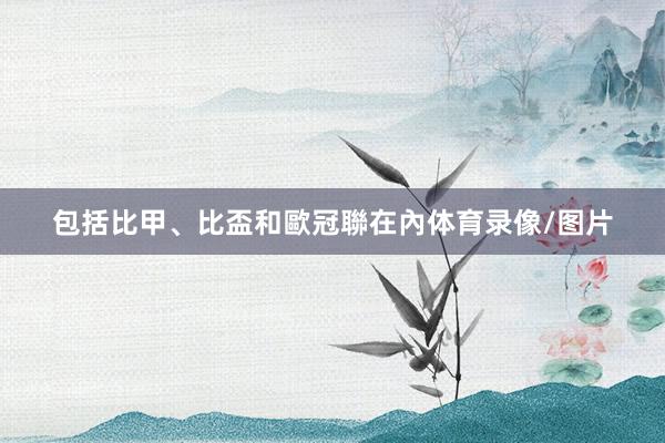 包括比甲、比盃和歐冠聯在內体育录像/图片