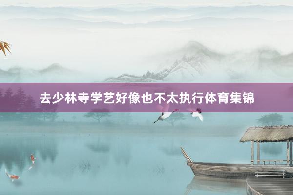 去少林寺学艺好像也不太执行体育集锦