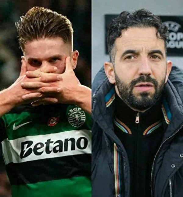 他其实从一运转就脑怒这个东说念主体育赛事直播