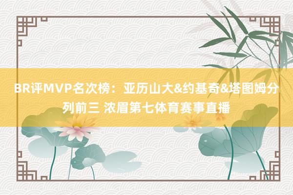 BR评MVP名次榜：亚历山大&约基奇&塔图姆分列前三 浓眉第七体育赛事直播
