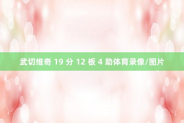 武切维奇 19 分 12 板 4 助体育录像/图片