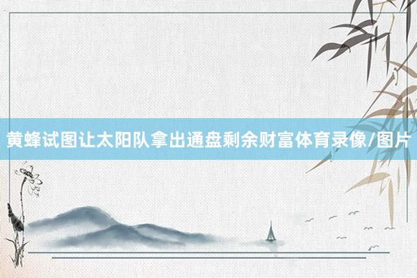 黄蜂试图让太阳队拿出通盘剩余财富体育录像/图片