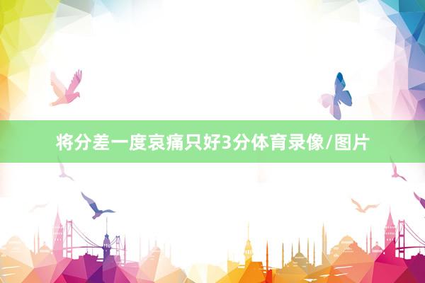将分差一度哀痛只好3分体育录像/图片