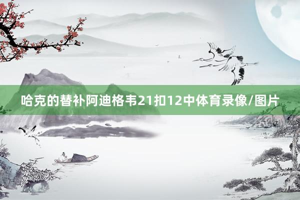 哈克的替补阿迪格韦21扣12中体育录像/图片