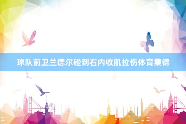 球队前卫兰德尔碰到右内收肌拉伤体育集锦