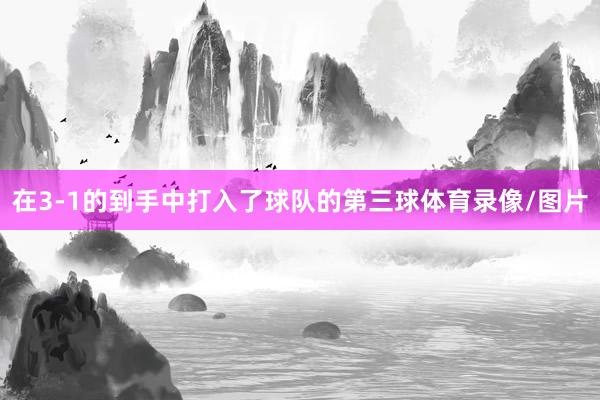 在3-1的到手中打入了球队的第三球体育录像/图片